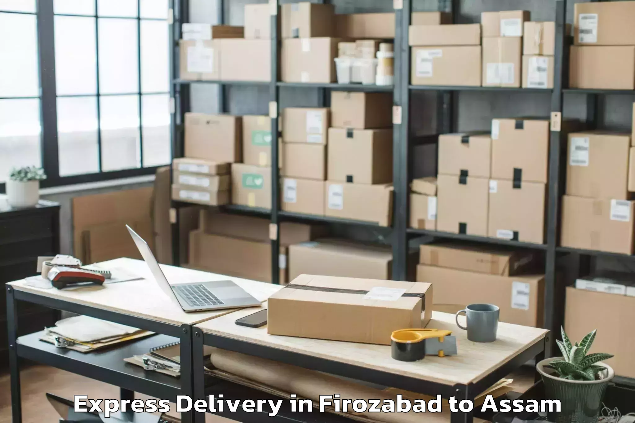 Hassle-Free Firozabad to Tezpur University Tezpur Express Delivery